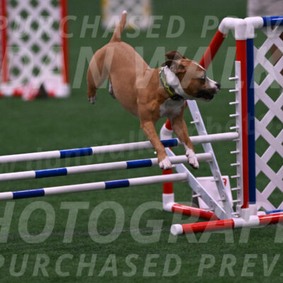 Danny-Blue-Michael-MacDonald-01558