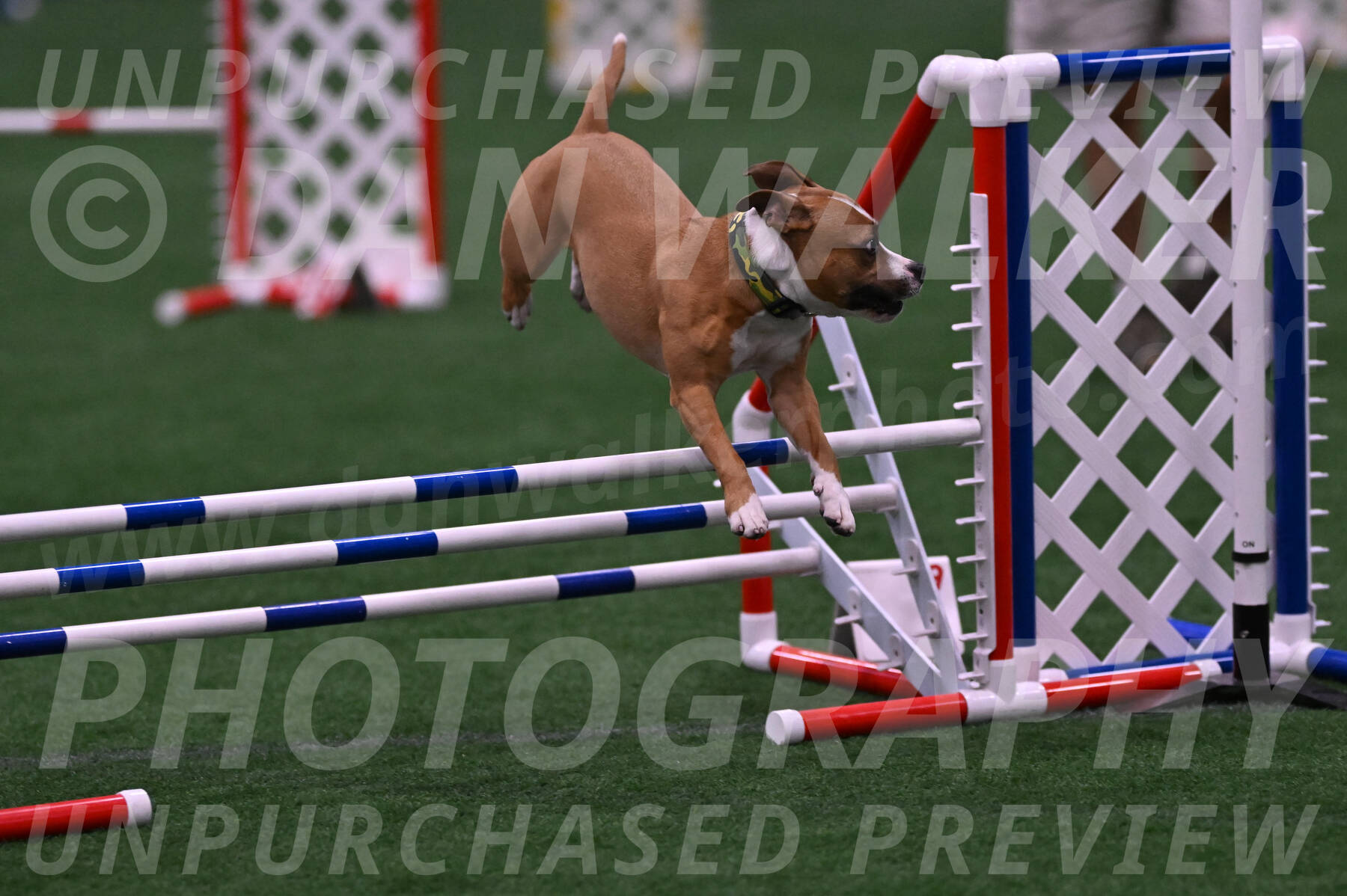 Danny-Blue-Michael-MacDonald-01558