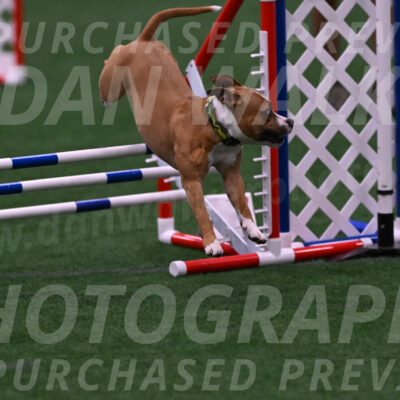 Danny-Blue-Michael-MacDonald-01559