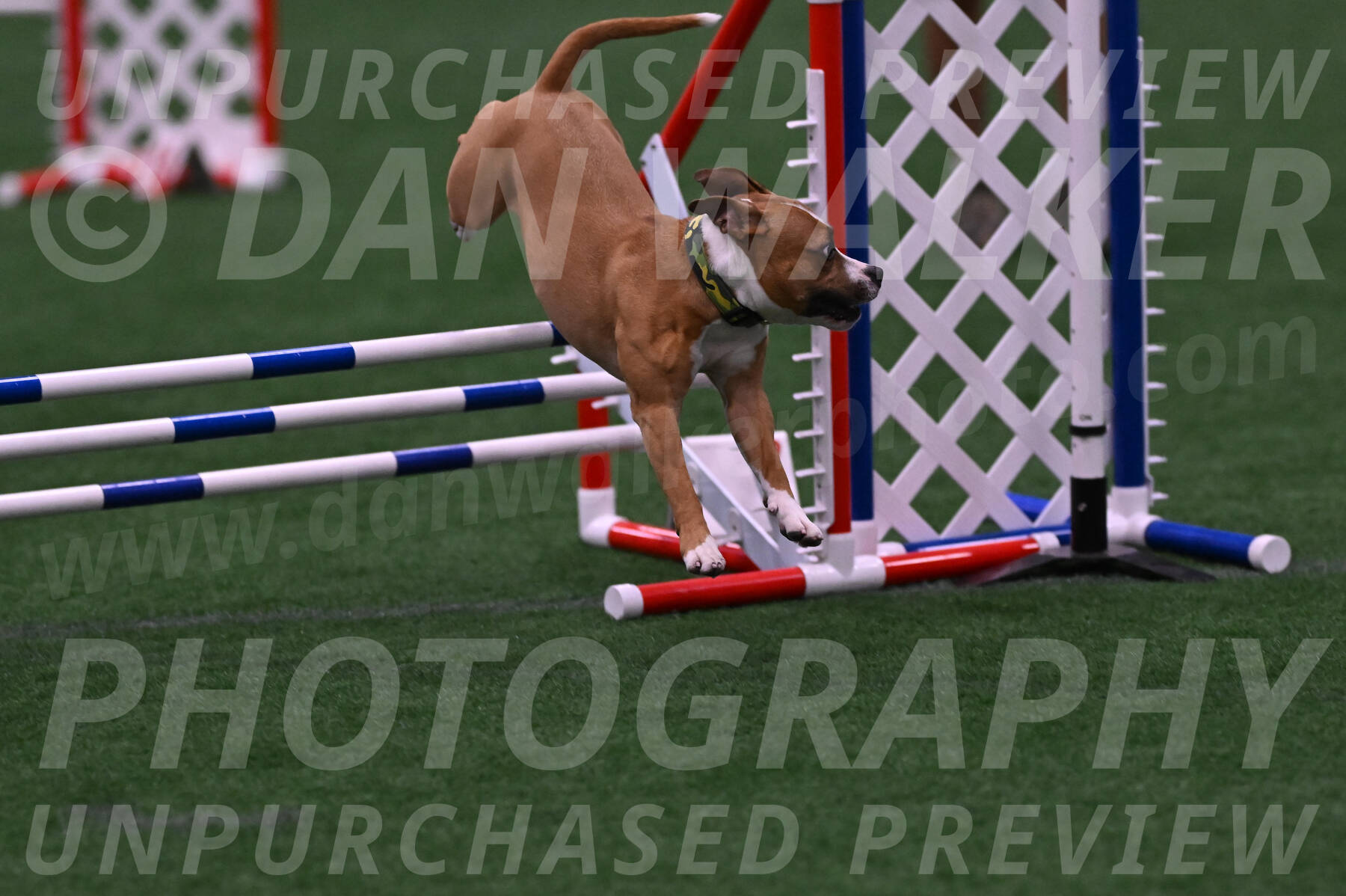 Danny-Blue-Michael-MacDonald-01559
