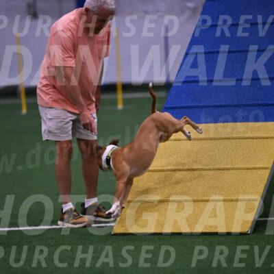 Danny-Blue-Michael-MacDonald-01562