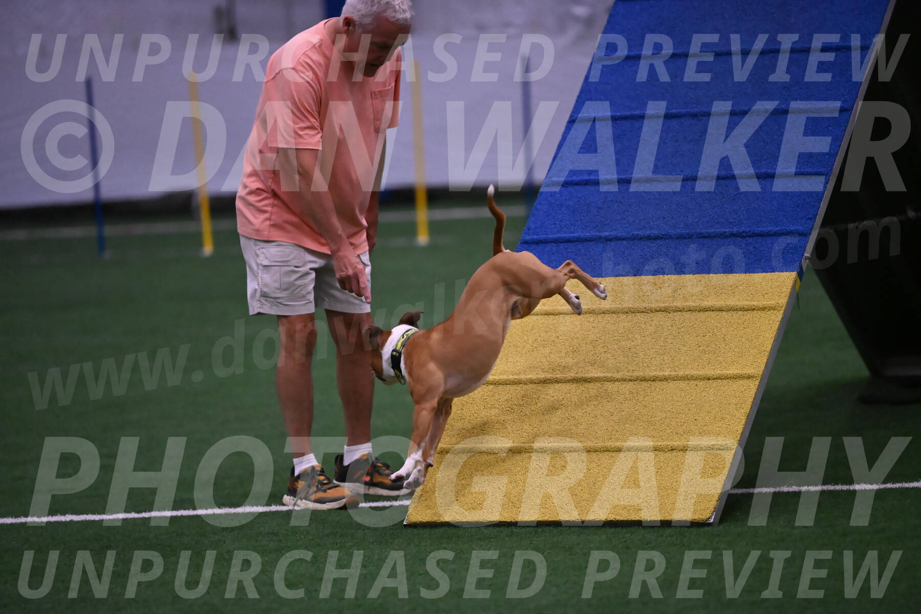 Danny-Blue-Michael-MacDonald-01562