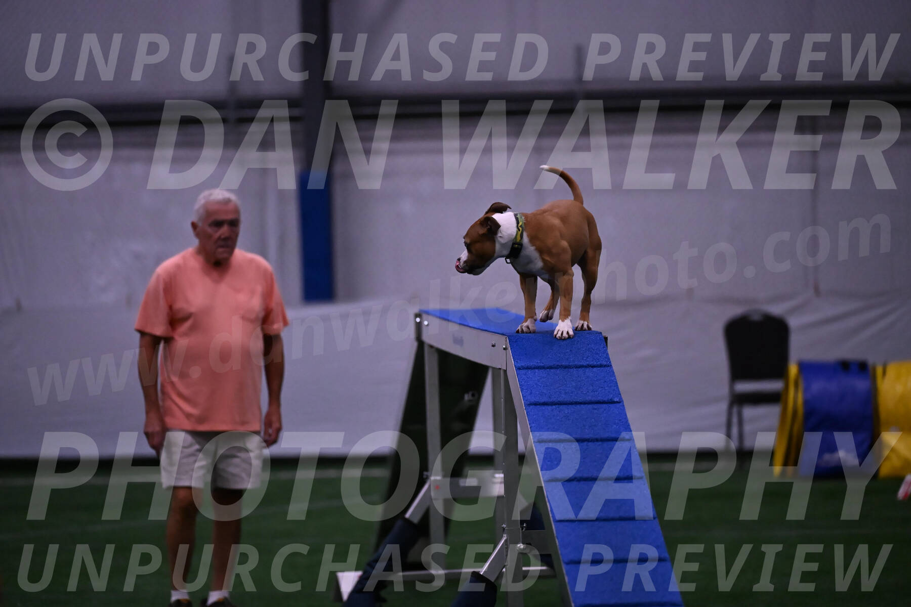 Danny-Blue-Michael-MacDonald-01566