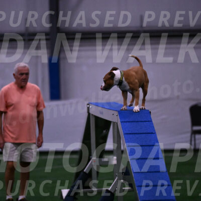 Danny-Blue-Michael-MacDonald-01566