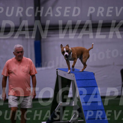 Danny-Blue-Michael-MacDonald-01568