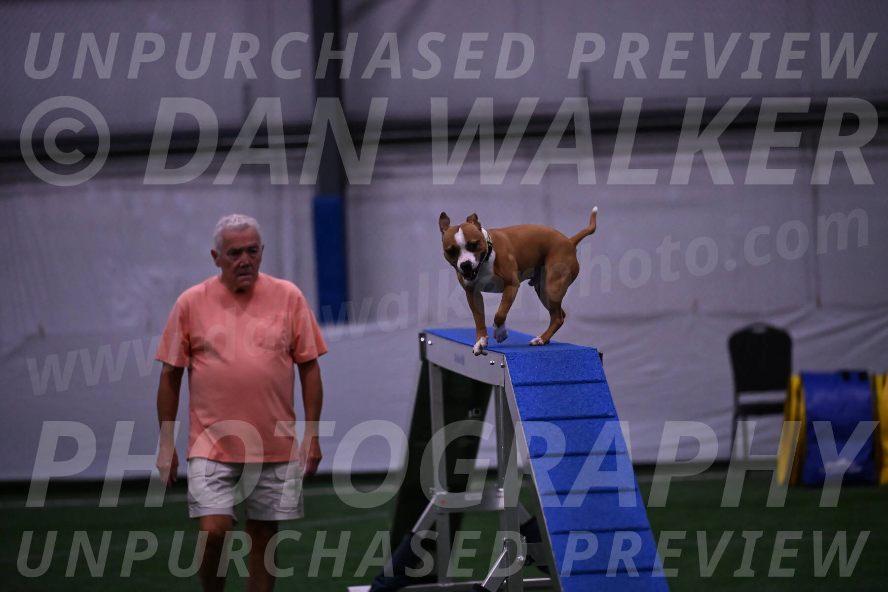 Danny-Blue-Michael-MacDonald-01568