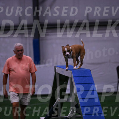 Danny-Blue-Michael-MacDonald-01570