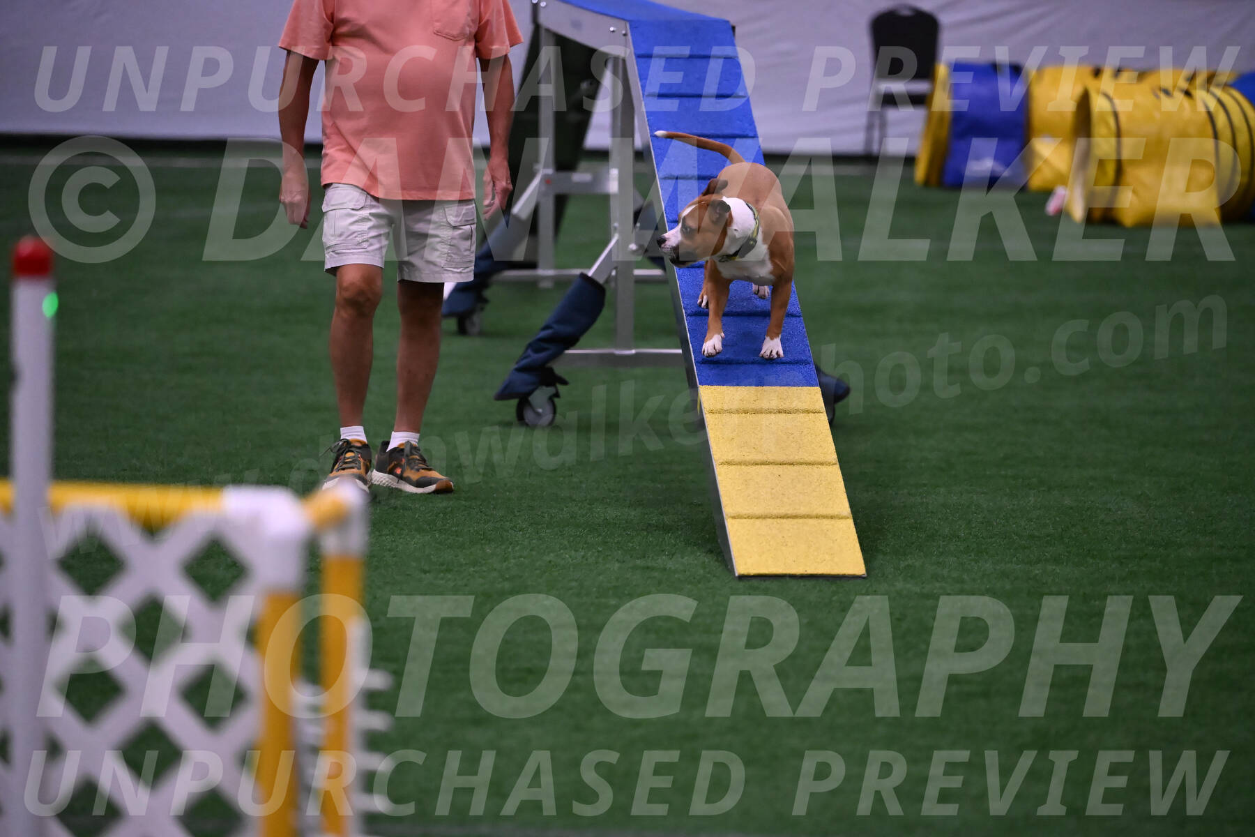 Danny-Blue-Michael-MacDonald-01577