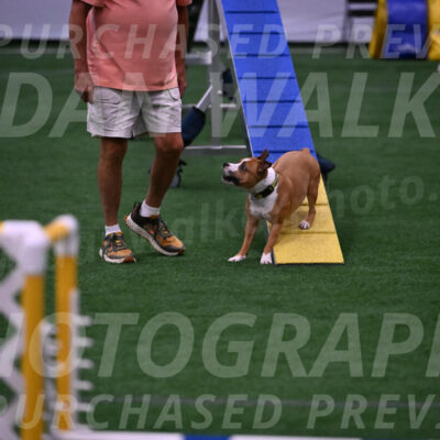 Danny-Blue-Michael-MacDonald-01589