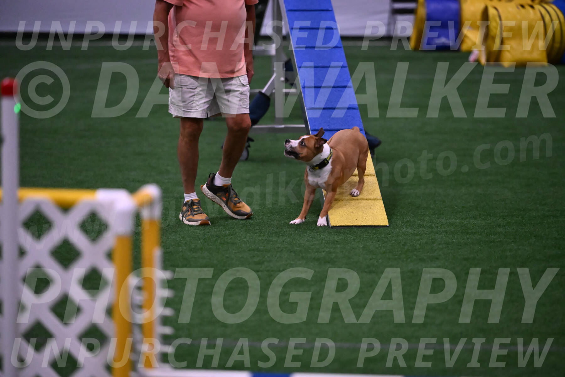Danny-Blue-Michael-MacDonald-01589