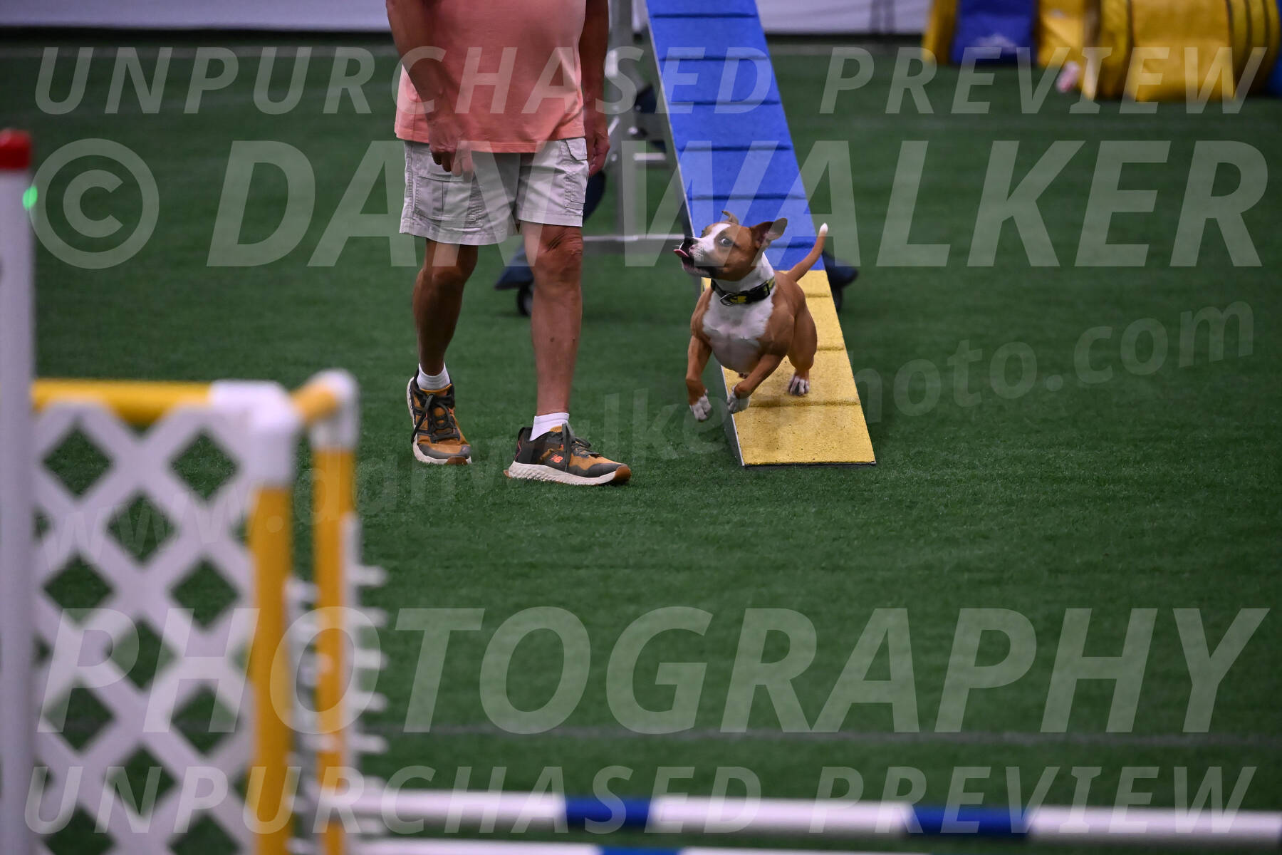Danny-Blue-Michael-MacDonald-01590