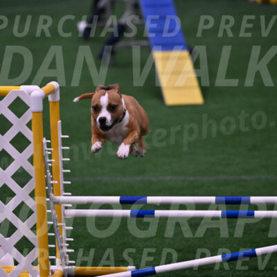Danny-Blue-Michael-MacDonald-01596