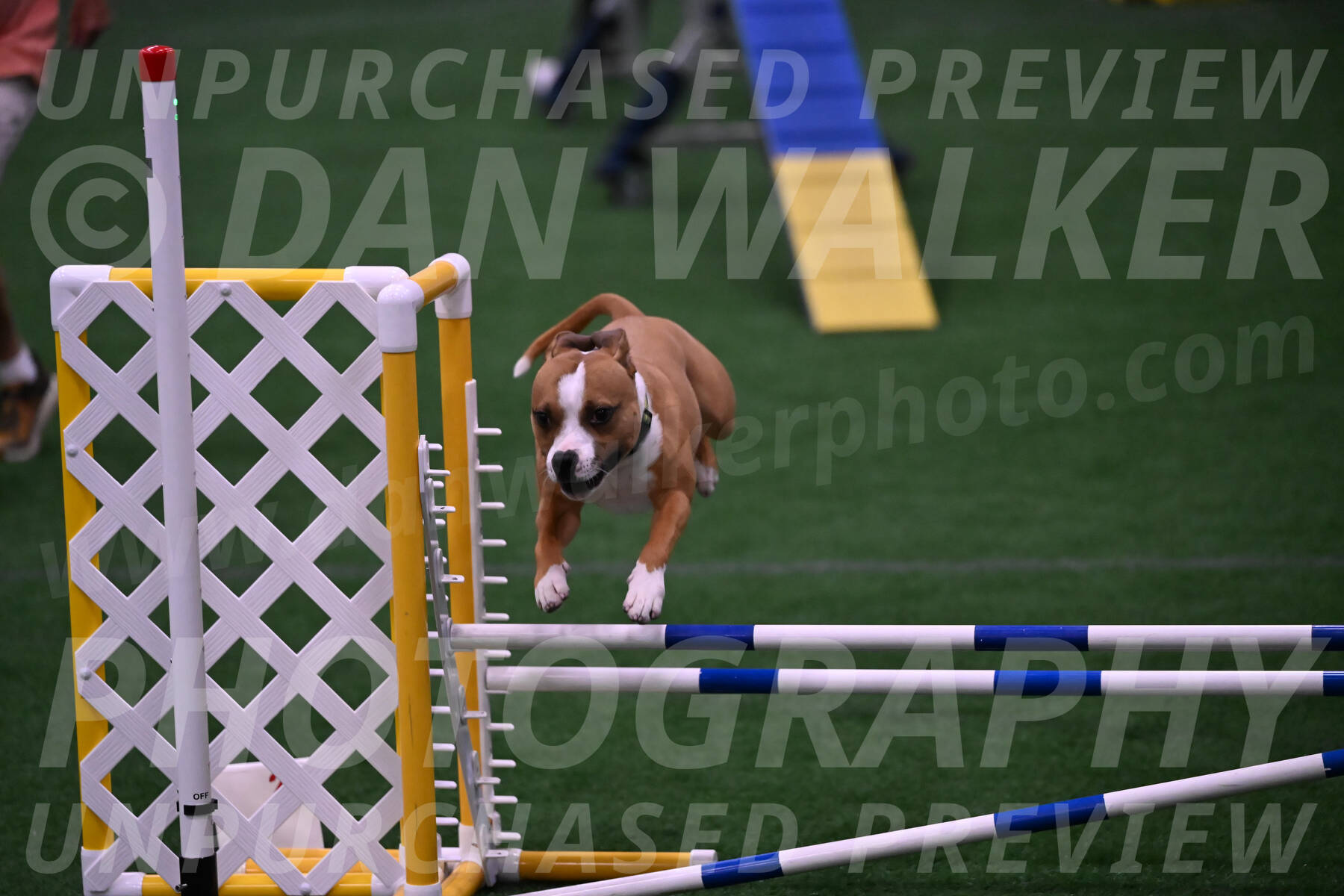 Danny-Blue-Michael-MacDonald-01597