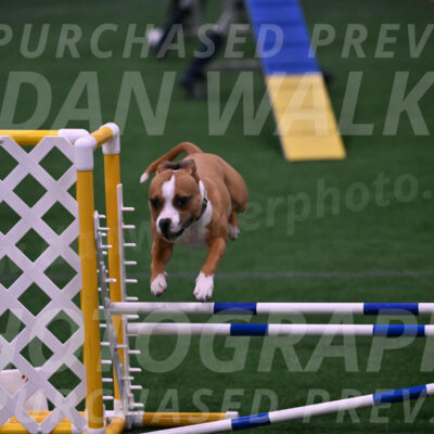 Danny-Blue-Michael-MacDonald-01597