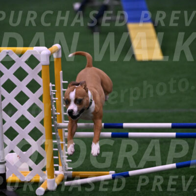 Danny-Blue-Michael-MacDonald-01598