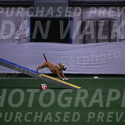 Danny-Blue-Michael-MacDonald-01606