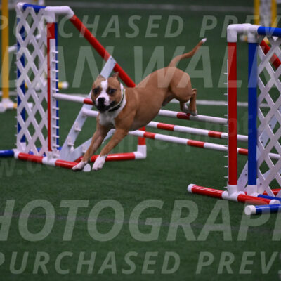 Danny-Blue-Michael-MacDonald-01621