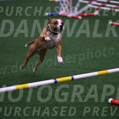 Danny-Blue-Michael-MacDonald-01622