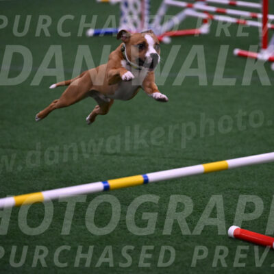 Danny-Blue-Michael-MacDonald-01623