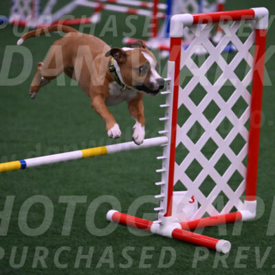 Danny-Blue-Michael-MacDonald-01626