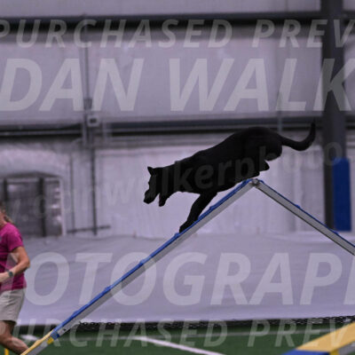 Dare-Ann-Smorado-03112