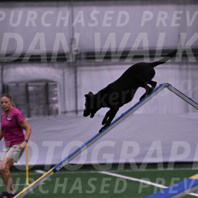 Dare-Ann-Smorado-03114