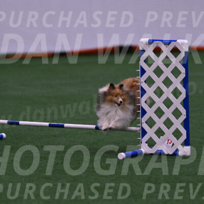 Dawn-Carol-Currier-09985