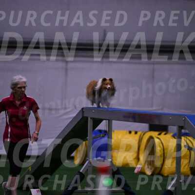 Dawn-Carol-Currier-10021