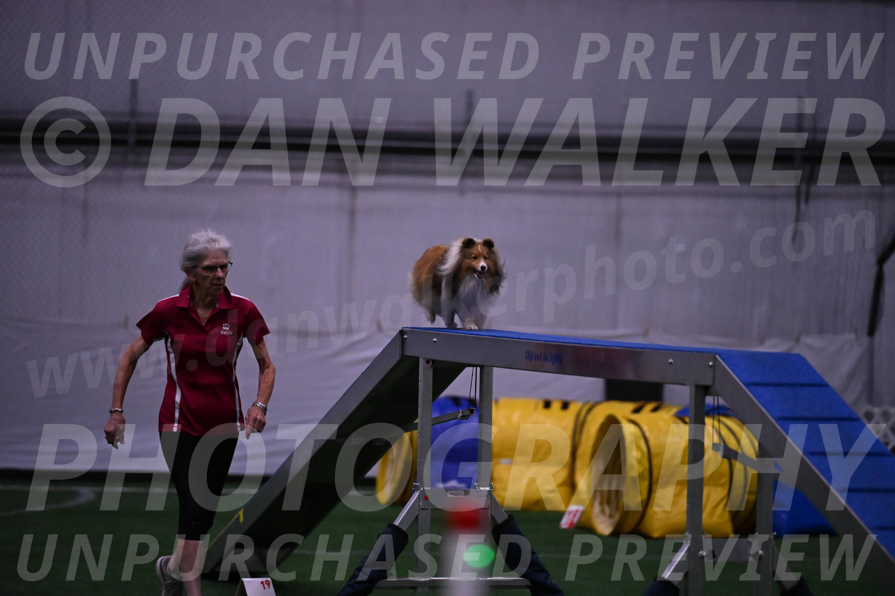 Dawn-Carol-Currier-10021