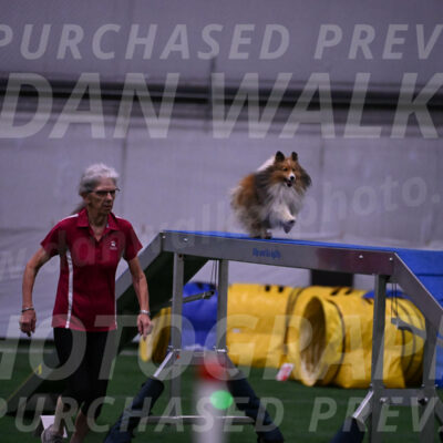Dawn-Carol-Currier-10023