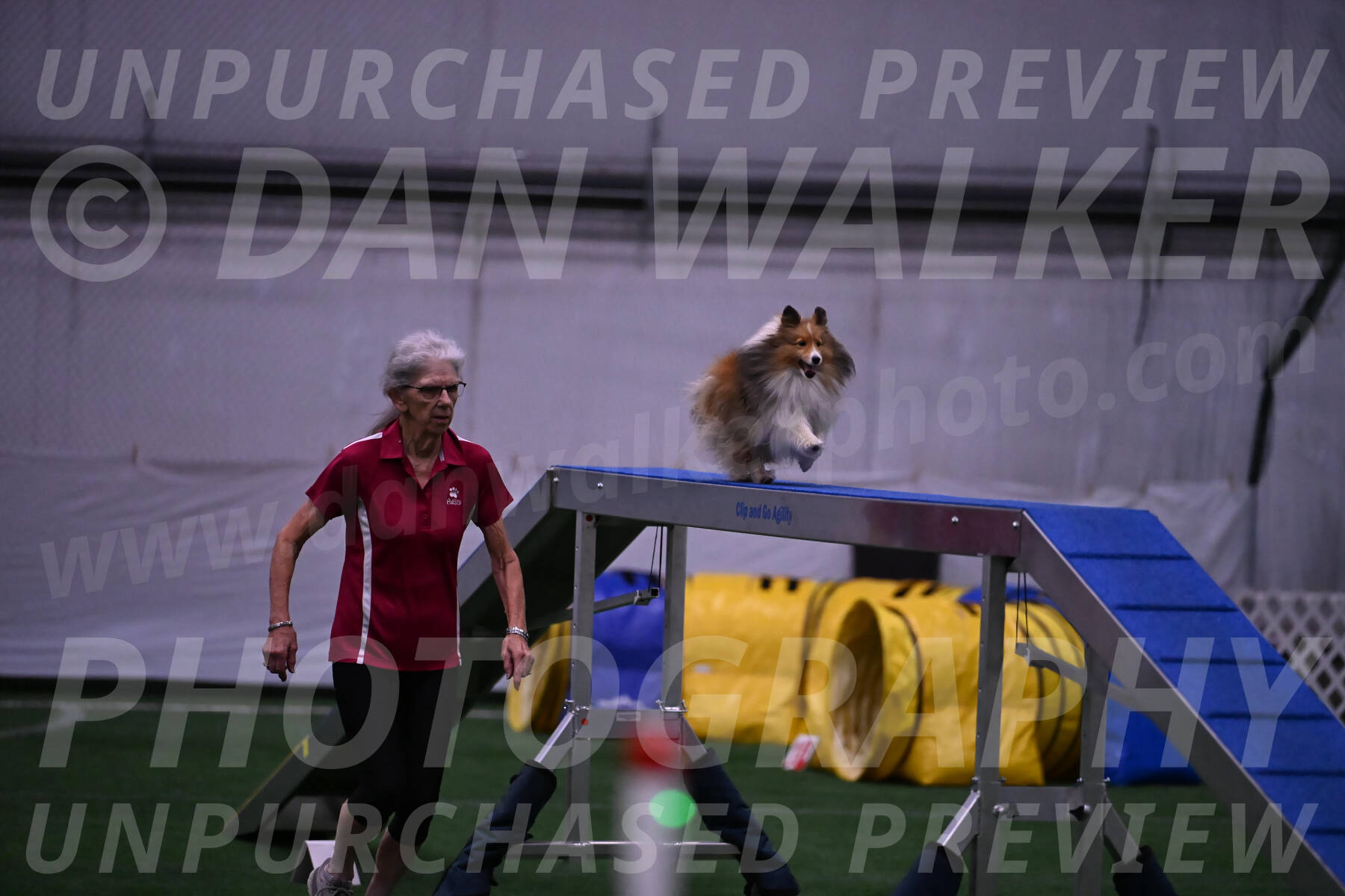 Dawn-Carol-Currier-10023