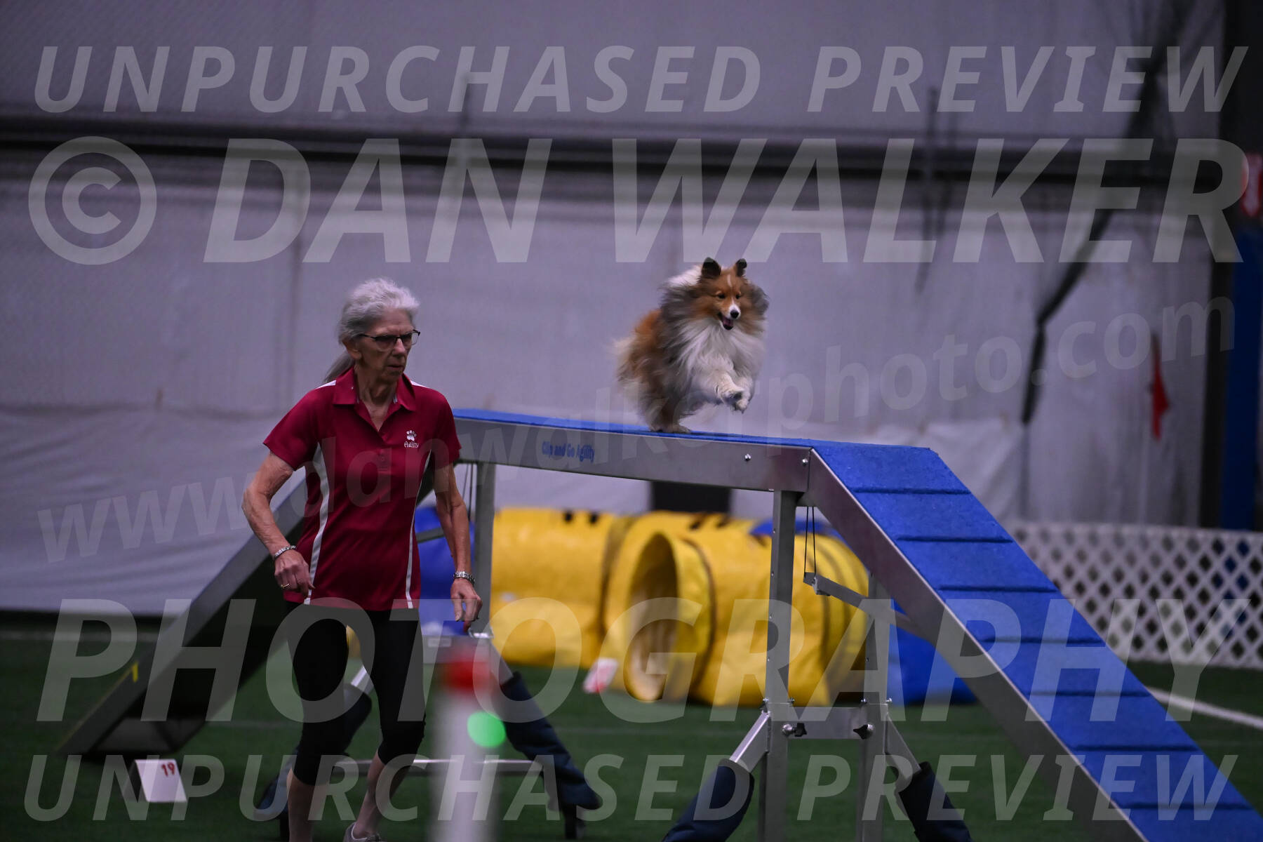 Dawn-Carol-Currier-10027