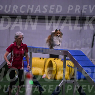 Dawn-Carol-Currier-10027