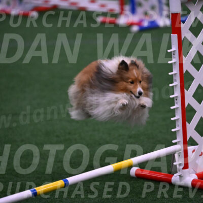 Dawn-Carol-Currier-10053