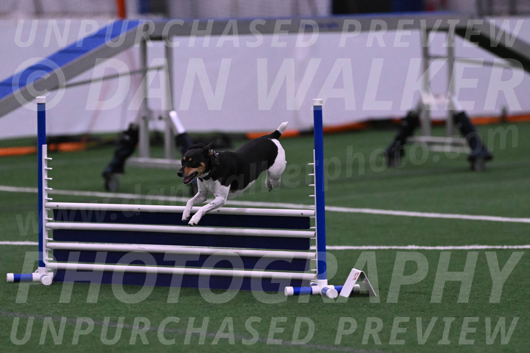 Denver-Sue-McGinty-01501