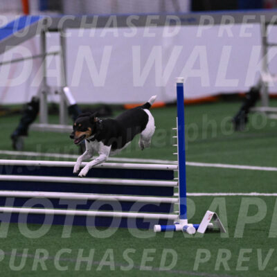 Denver-Sue-McGinty-01501