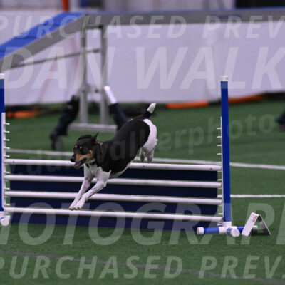 Denver-Sue-McGinty-01502