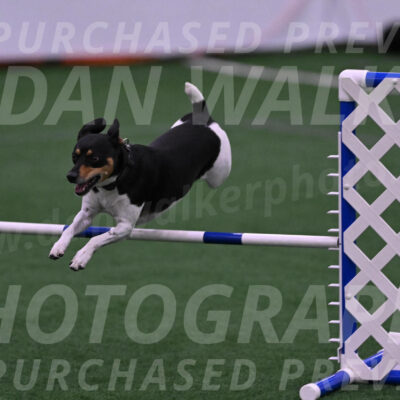 Denver-Sue-McGinty-01505