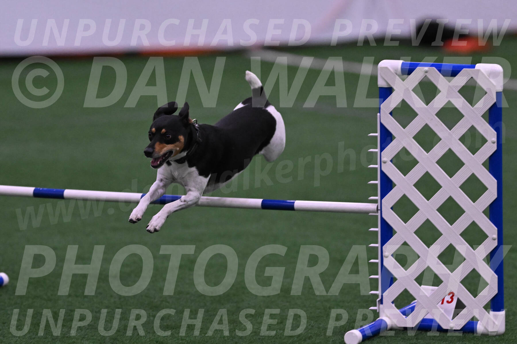 Denver-Sue-McGinty-01505