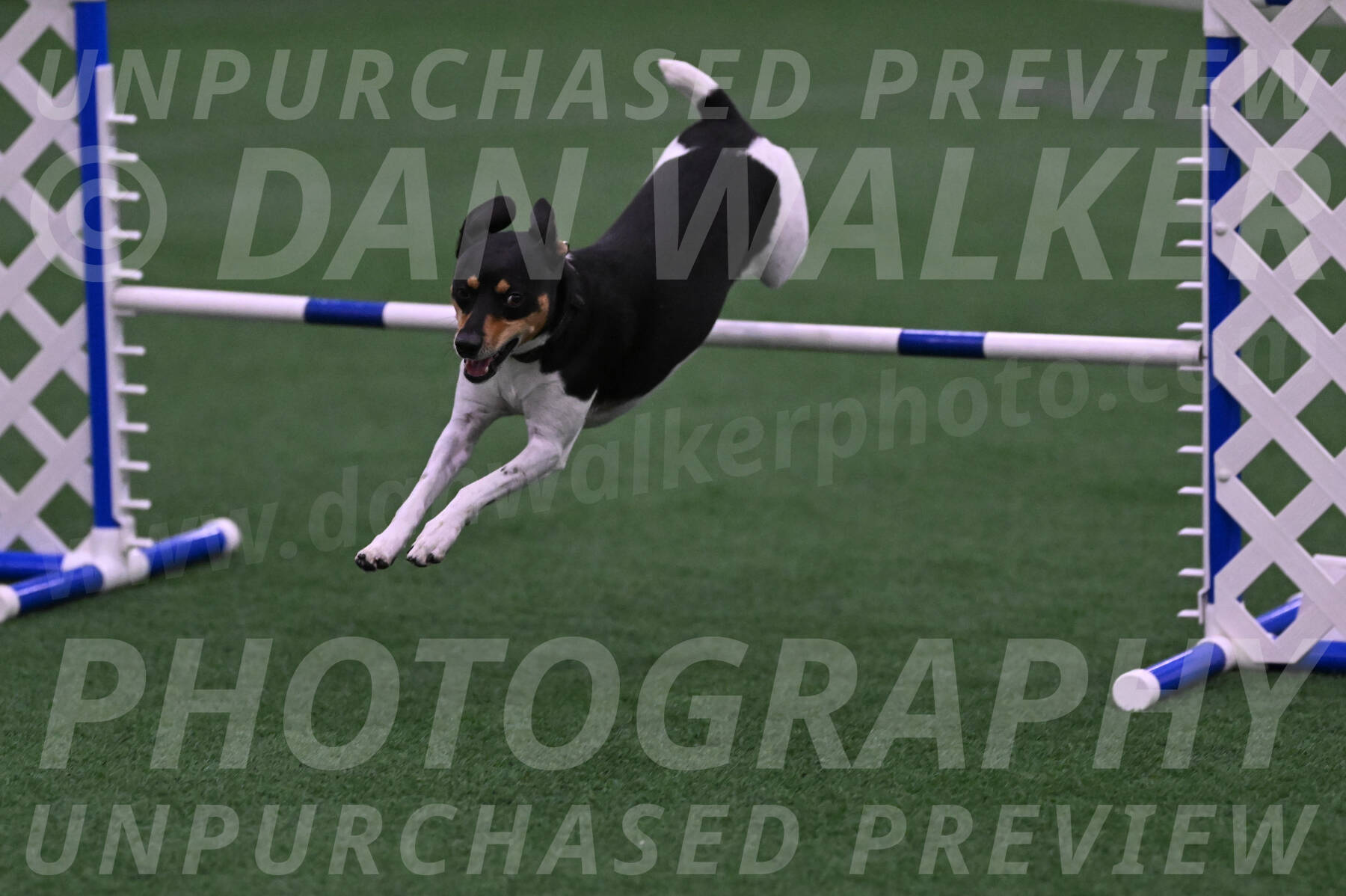 Denver-Sue-McGinty-01506