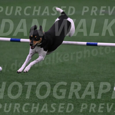 Denver-Sue-McGinty-01506