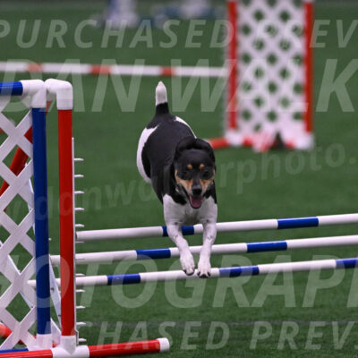 Denver-Sue-McGinty-01509