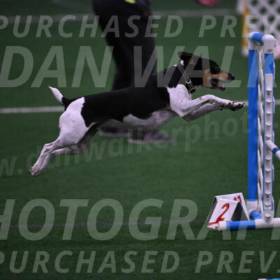 Denver-Sue-McGinty-01518