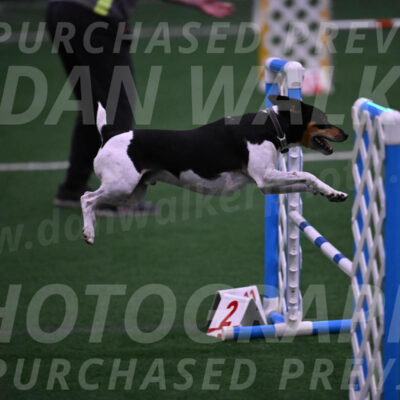 Denver-Sue-McGinty-01519