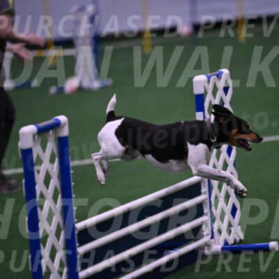 Denver-Sue-McGinty-01529