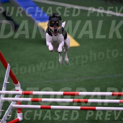 Denver-Sue-McGinty-01540