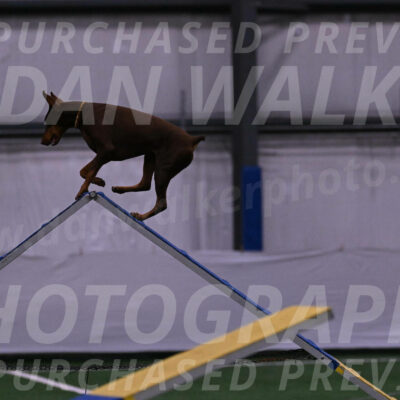Derby-Carol-Moore-04966