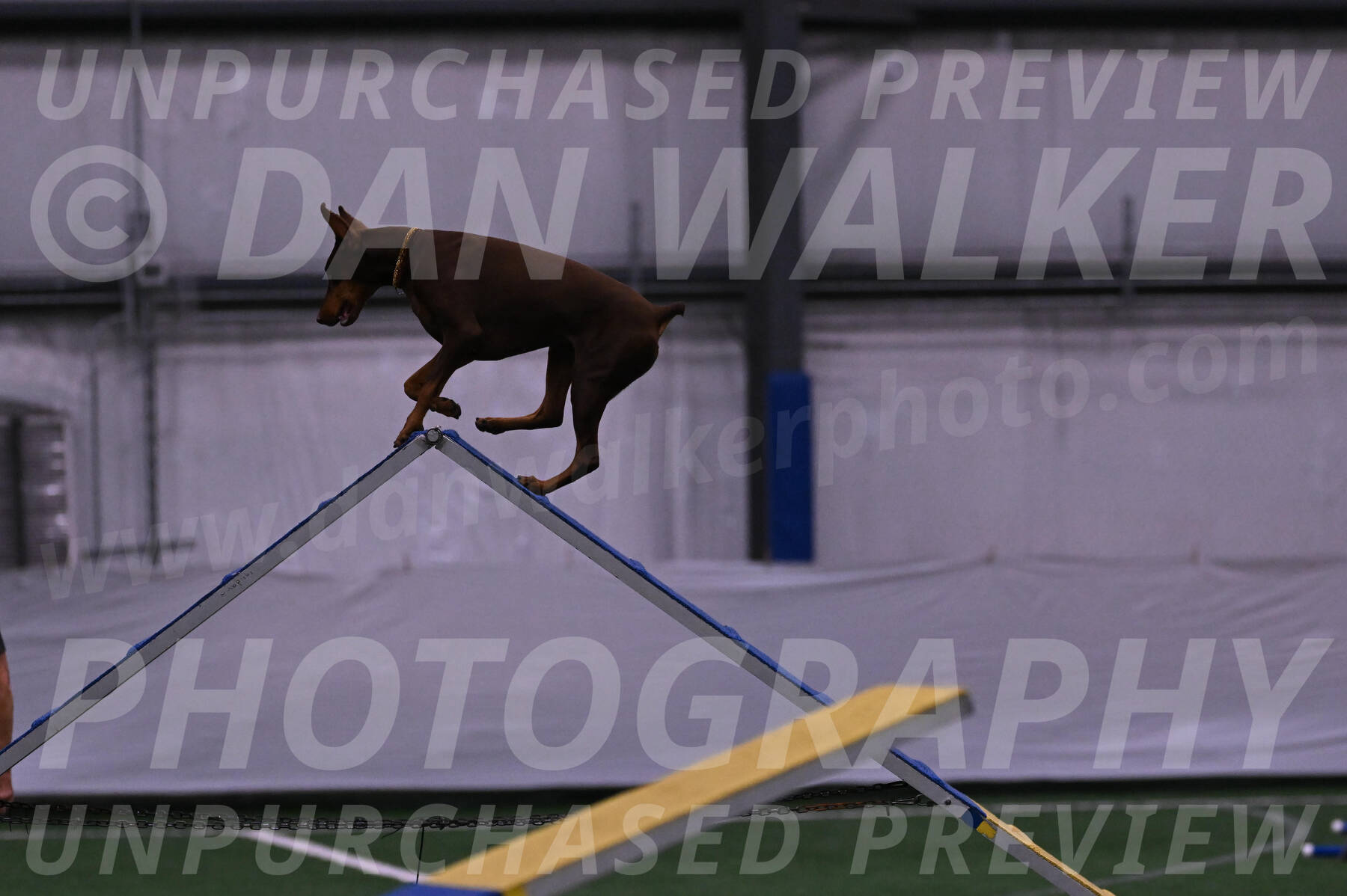 Derby-Carol-Moore-04966