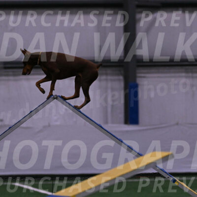 Derby-Carol-Moore-04967