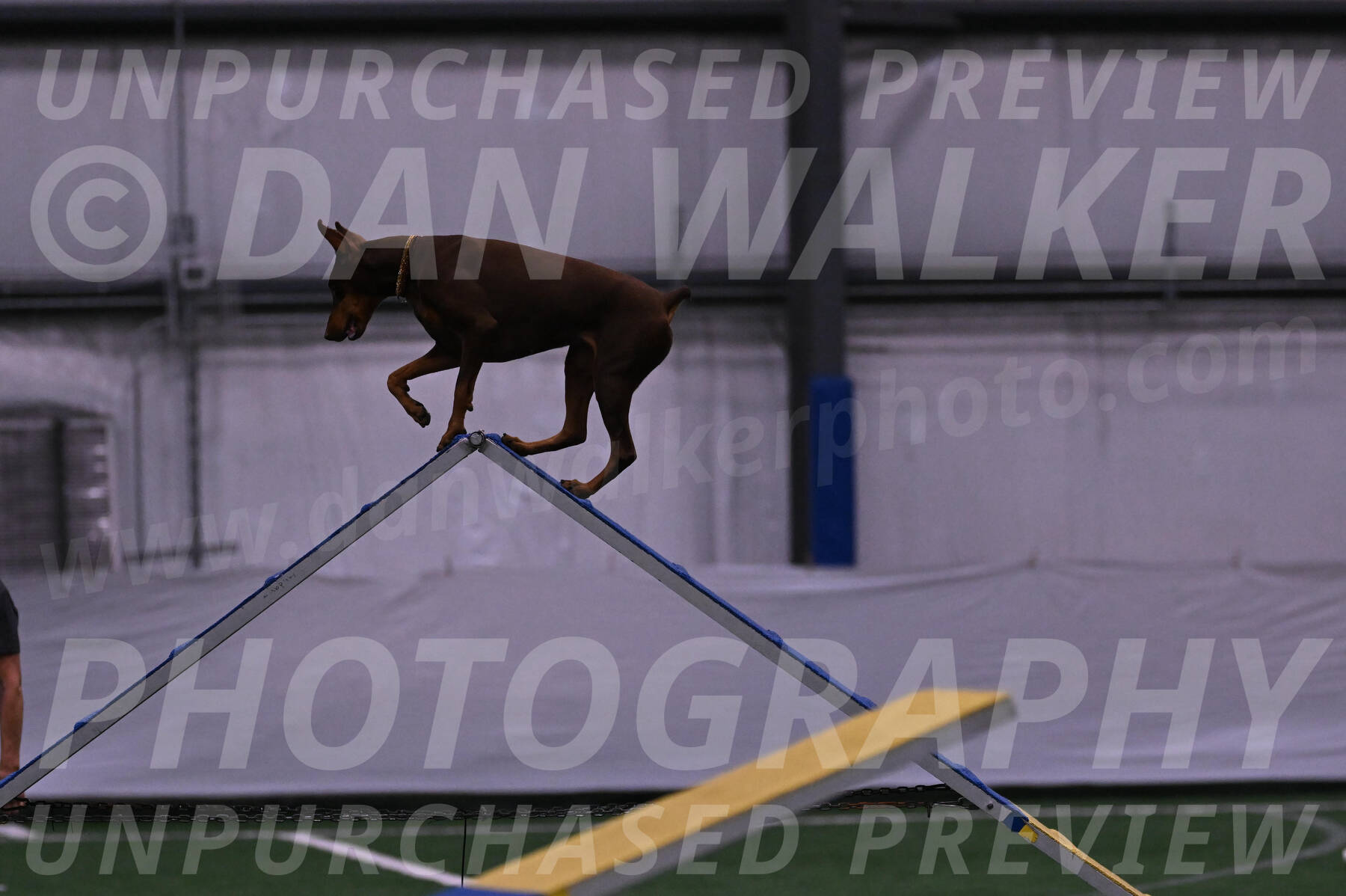 Derby-Carol-Moore-04967